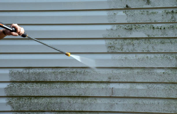 Best Gutter Cleaning  in Harriman, NY
